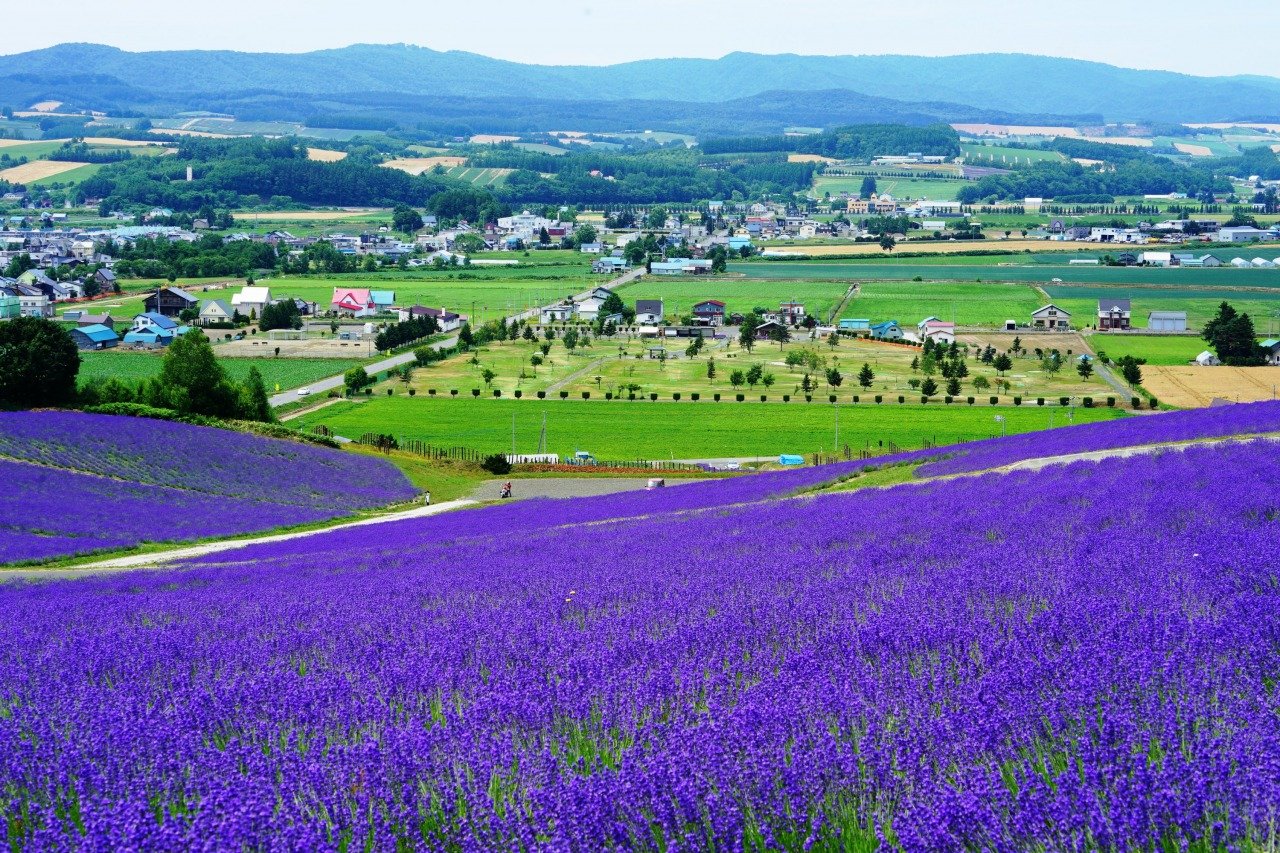 🌸 일출 공원(히노데 코엔)